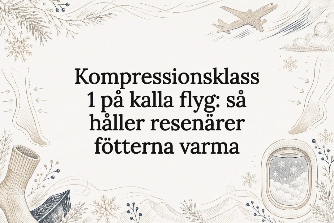 Dekorativ titelbild med flyg- och vintermotiv
